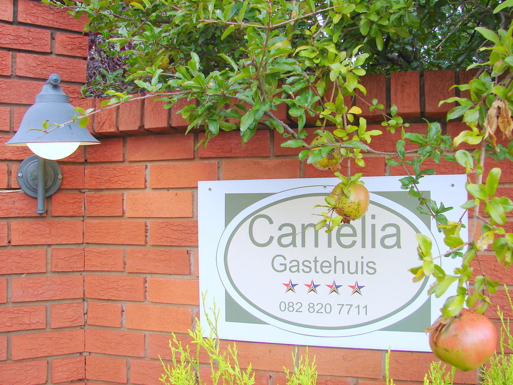 Camelia Guest House Bloemfontein Ngoại thất bức ảnh