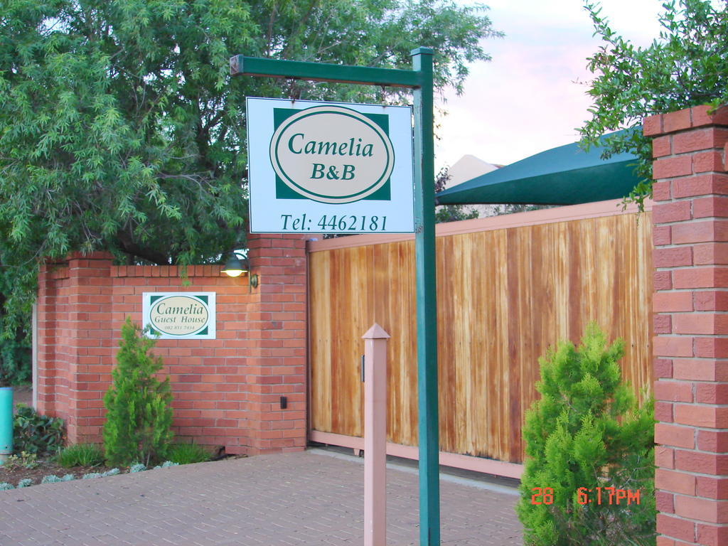 Camelia Guest House Bloemfontein Ngoại thất bức ảnh